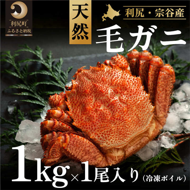【ふるさと納税】利尻・宗谷産 冷凍ボイル毛蟹 1kg前後×1尾 [2024年3月発送開始先行受付］　【 毛ガニ 蟹 急速冷凍 真空パック 希少 身の締りが抜群 旨さ 】　お届け：2024年3月より順次出荷のサムネイル