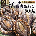 【ふるさと納税】【2025年10~12月発送受付】天然蝦夷『活』アワビ500g 利尻島産【期間限定】利尻昆布を食べて育った美味しいあわび お正月 おせち 刺身 北海道 利尻 エゾアワビ