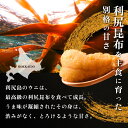 北海道利尻町の画像2