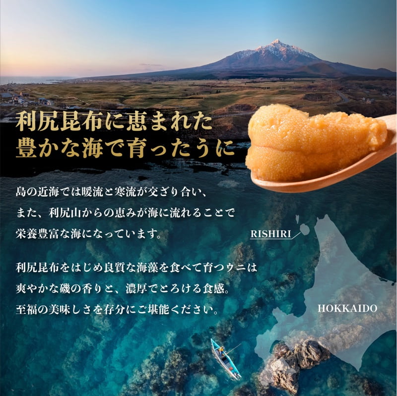 【ふるさと納税】利尻島産 塩水 生うに むらさきうに100g×2■2024年6月より順次出荷■ 先行受付 ウニ 利尻 　【魚貝 】　お届け：2024年6月上旬～8月末頃まで ※配送期間内での順次出荷商品になります。お届け日は指定できません。