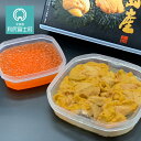【ふるさと納税】 2020年発送予約★直送 塩水生うに(ムラ...
