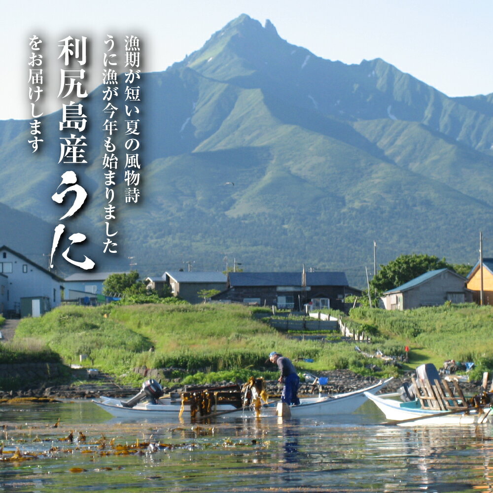 専門店では 22年発送予約 直送 利尻島産 塩水エゾバフンウニ1パック 8月発送分 北海道ふるさと納税 利尻富士町 ふるさと納税 北海道 海鮮 うに 生うに 雲丹 通販 ギフト ウニ 贈答品 贈り物 Klassika Lv