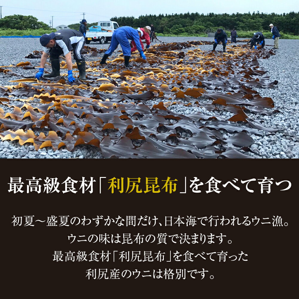 専門店では 22年発送予約 直送 利尻島産 塩水エゾバフンウニ1パック 8月発送分 北海道ふるさと納税 利尻富士町 ふるさと納税 北海道 海鮮 うに 生うに 雲丹 通販 ギフト ウニ 贈答品 贈り物 Klassika Lv