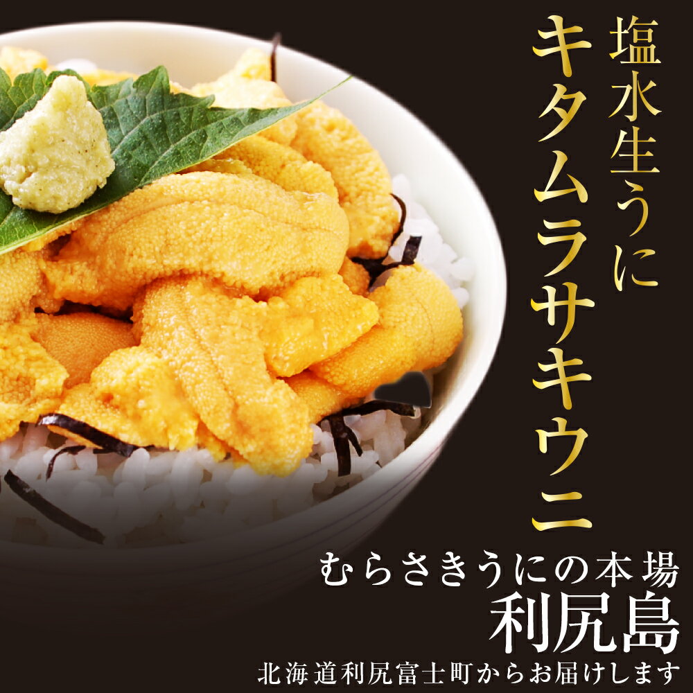 今が旬 8月発送分 利尻島産 塩水生うに2パック ムラサキウニ 北海道ふるさと納税 利尻富士町 ふるさと納税 北海道 贈答品 雲丹 海鮮 通販 生うに ウニ 贈り物 うに ギフト 着後レビューで