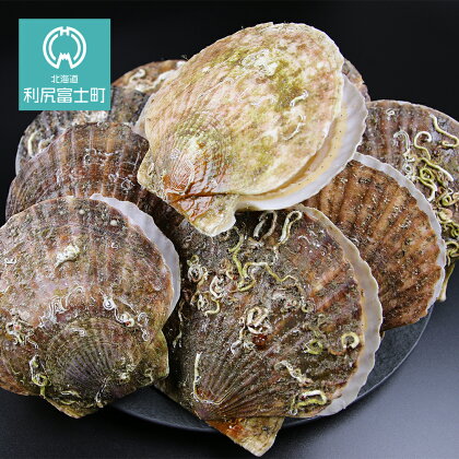 2019年12月発送!北海道利尻島から直送! 活ホタテ6kg【北勝佐々木】北海道ふるさと納税 利尻富士町 ふるさと納税 北海道 海鮮