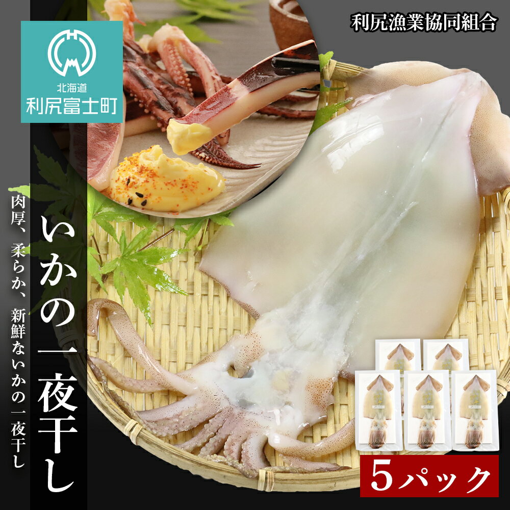 【ふるさと納税】いかの一夜干し×5パック＜利尻漁業協同組合＞いか イカ 一夜干し 干物 北海道ふるさと納税 利尻富士町 ふるさと納税 北海道のサムネイル