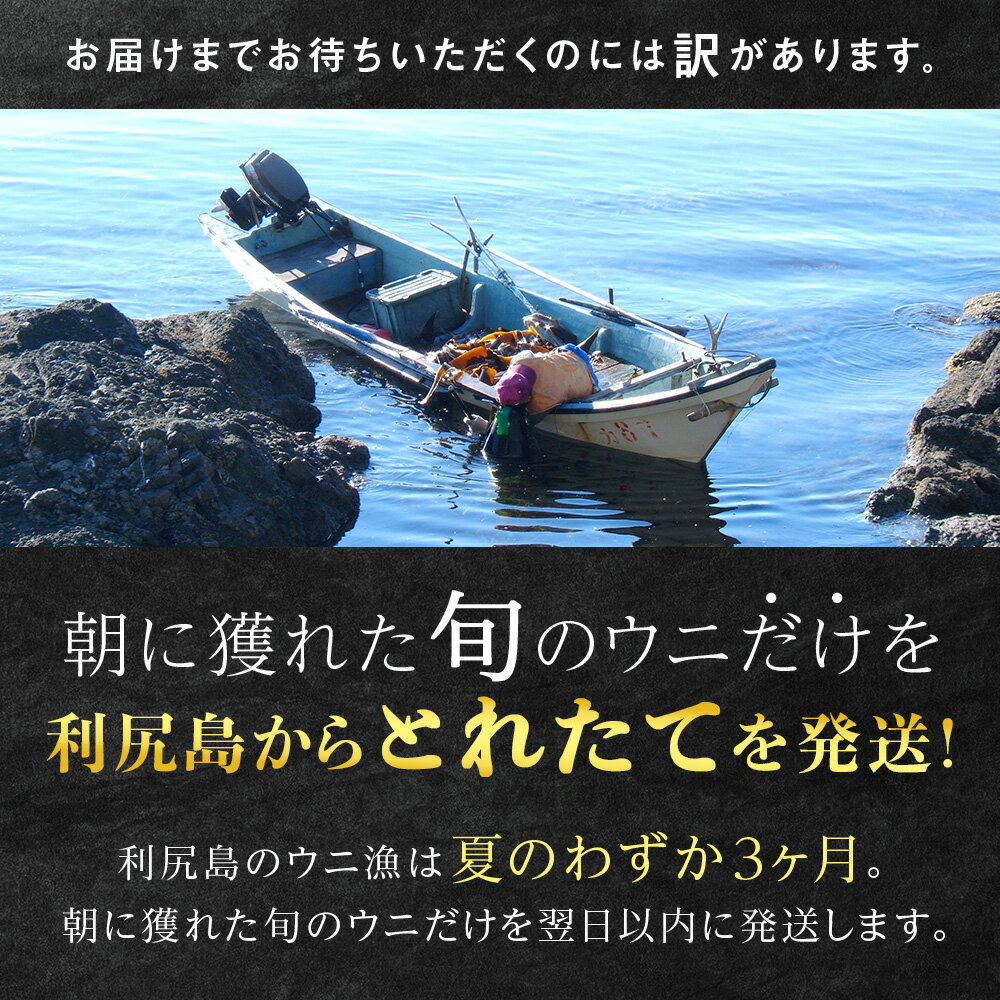 【ふるさと納税】【2025年発送予約】エゾバフンウニ 200g (100g×2パック) ＜利尻漁業協同組合＞ 雲丹 うに北海道ふるさと納税 利尻富士町 北海道 海鮮 北海道 海鮮 うに 生うに 北海道 うに 雲丹 通販 ギフト ウニ 贈答品 贈り物 塩水生うに
