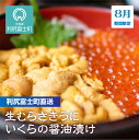 【ふるさと納税】 2021年発送予約★直送 塩水生うに(ムラ...