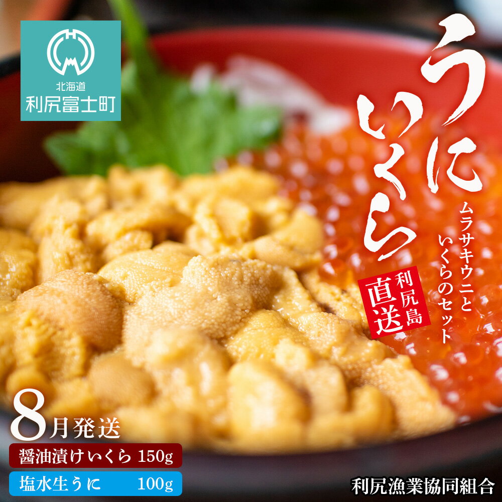 【ふるさと納税】 【2024年発送予約】★直送 塩水生うに（ムラサキウニ）＆いくらセット8月発送【利尻漁組】北海道ふるさと納税 利尻富士町 ふるさと納税 北海道 海鮮のサムネイル