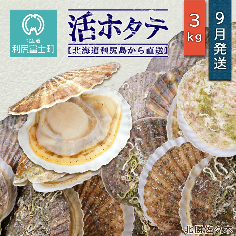 訳ありセール格安 ふるさと納税 活ホタテ3kg 21年9月発送 北海道利尻島から直送 北勝佐々木 北海道ふるさと納税 利尻富士町 ふるさと納税 北海道 海鮮 Ad10 超目玉 Pooh And Friends Com