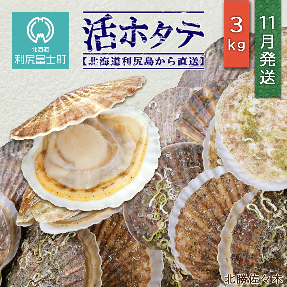 【ふるさと納税】 活ホタテ3kg！~2021年11月発送~北海道利尻島から直送！【北勝佐々木】北海道ふるさと納税 利尻富士町 ふるさと納税 北海道 海鮮 【AD14】