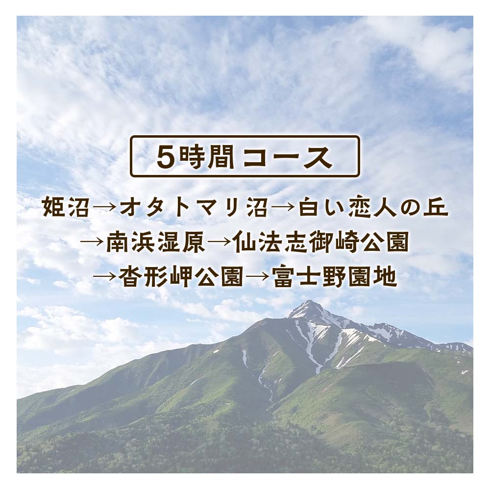 【ふるさと納税】利尻島周遊♪貸切観光タクシー5時間フリー利用券（小型タクシー4名様まで）タクシー 利用券 タクシーチケット 観光タクシー ツアー タクシーツアー 体験 北海道ふるさと納税 利尻富士 ふるさと納税 北海道 f015199-rishirifuji-10000548 北海道利尻富士町 サンプル画像2