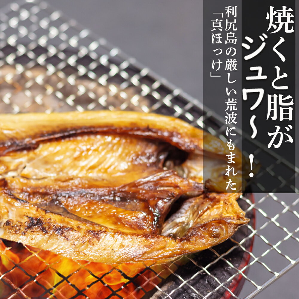 送料無料 ふるさと納税 利尻漁業協同組合 利尻島産 開きほっけ 10枚北海道ふるさと納税 利尻富士町 ふるさと納税 北海道 ほっけ ホッケ 北海道産 ホッケ 魚 A023 完売 Desertgoldarizona Com 送料無料 ふるさと納税 利尻漁業協同組合 利尻島産 開きほっけ 10枚北海道ふるさと納税 利尻富士町 ふるさと納税 北海道 ほっけ ホッケ 北海道産 ホッケ 魚 A023 完売 Desertgoldarizona Com