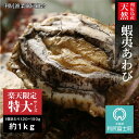 【ふるさと納税】 数量限定☆利尻島産 天然蝦夷あわび 1kg(特大)<利尻漁業協同組合>北海道ふるさと納税 利尻富士町 ふるさと納税 北海道 海鮮 【AA103】