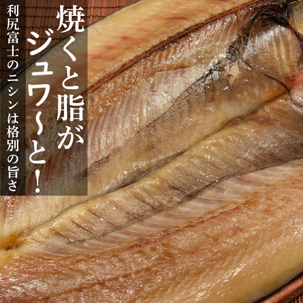 【ふるさと納税】利尻島産開きニシン5枚<利尻漁業協同組合>北海道ふるさと納税利尻富士町ふるさと納税北海道