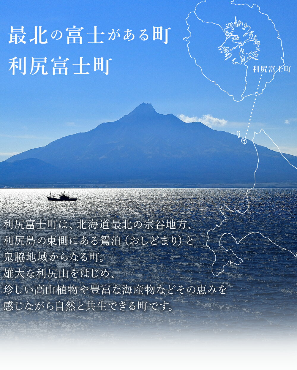 【ふるさと納税】2024年発送予約 利尻島産 塩水エゾバフンウニ 100g 昆布屋神兵衛北海道ふるさと納税 利尻富士町 ふるさと納税 北海道 海鮮 北海道 海鮮 うに 生うに 北海道 うに 雲丹 通販 ギフト ウニ 贈答品 贈り物 予約 塩水生うに