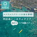 【ふるさと納税】【エメラルドグリーンの海を満喫 】利尻島シーカヤックツアー 60分 ☆ペア体験チケット北海道ふるさと納税 利尻富士町 ふるさと納税 北海道 利尻島 シーカヤック カヤックツア…