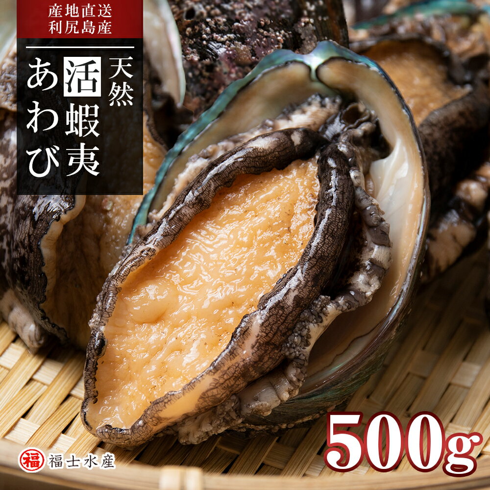 【ふるさと納税】 あわび 《2023年発送分 予約開始》利尻島産 直送！天然 活えぞあわび 500g 鮑 海鮮 冷蔵 お刺身 魚介 お祝い【福士水産】北海道ふるさと納税 利尻富士町 ふるさと納税 北海道産アワビ 産地直送 活 美味しさに 訳あり 夏ギフト