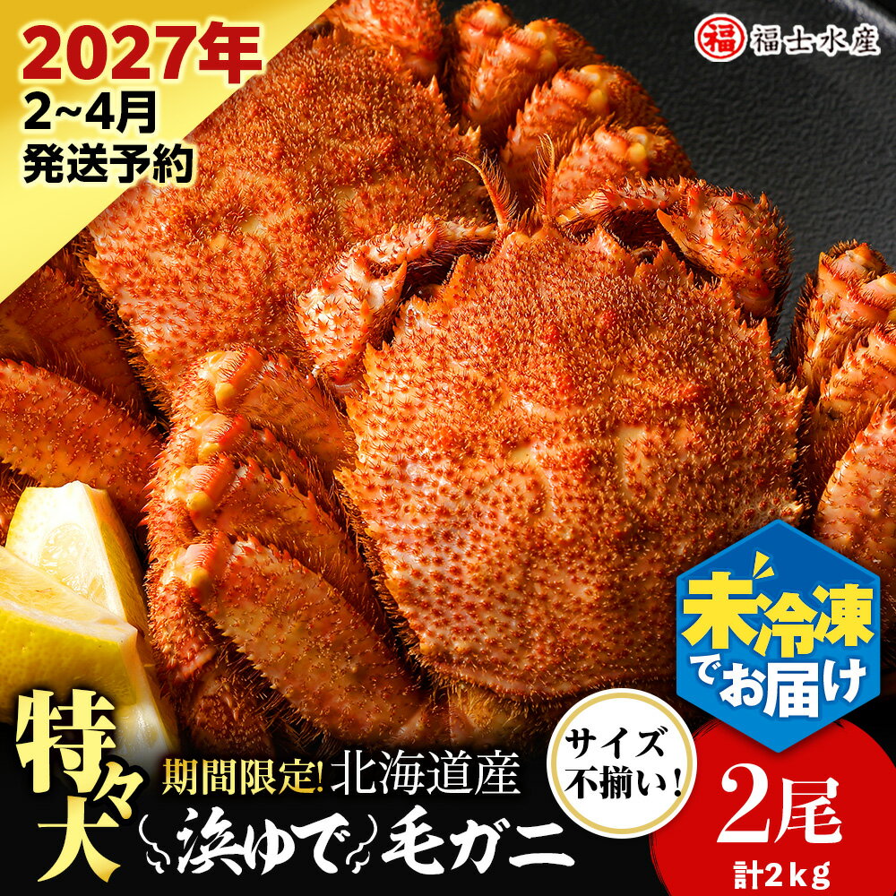 樂天商城 - 【ふるさと納税】【2027年発送予約】チルドでお届け！ 浜茹で毛ガニ特々大2尾（不揃い合計約2kg） 〈福士水産〉北海道ふるさと納税 利尻富士町 北海道 海鮮 かにふるさと納税 北海道 カニ ふるさと納税 北海道 蟹 毛ガニ 毛蟹 蟹みそ 毛ガニ 冷蔵 ゆで毛ガニ 新物