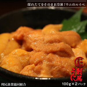 【ふるさと納税】 獲れたての味をそのまま！利尻バフンウニのルイベ100g×2P＜利尻漁業協同組合＞北海道ふるさと納税 利尻富士町 ふるさと納税 北海道 海鮮 北海道 海鮮 うに 生うに 北海道 うに 雲丹 通販 ギフト ウニ 贈答品 贈り物 【AA190】