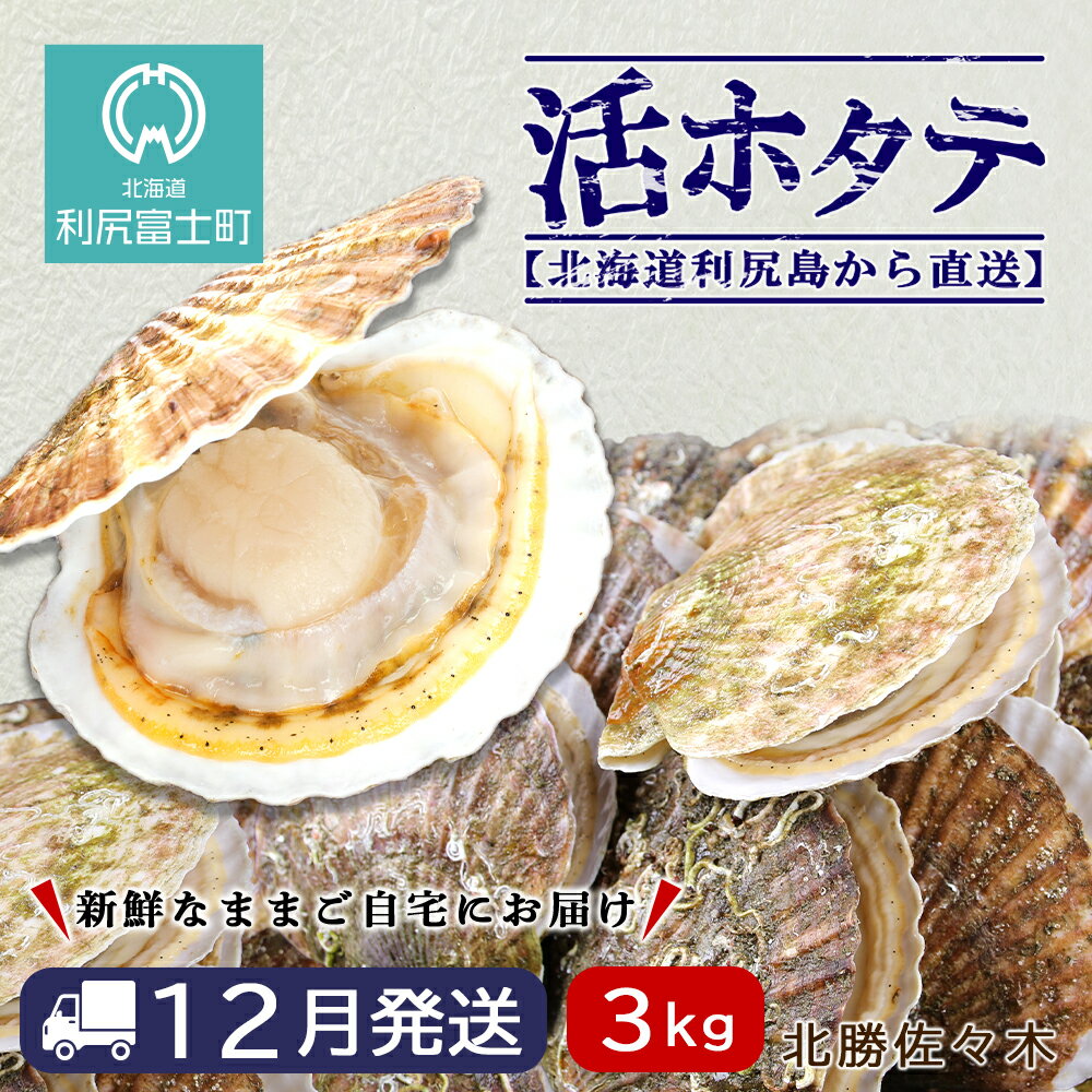 【ふるさと納税】 活ホタテ3kg！~2022年12月発送~北海道利尻島から直送！【北勝佐々木】北海道ふるさと納税 利尻富士町 ふるさと納税 北海道 海鮮 美味しさに 訳あり