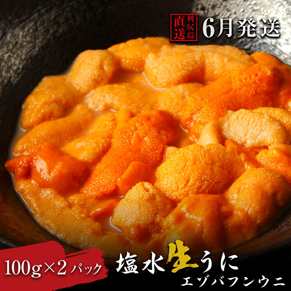 【ふるさと納税】 2023年発送予約 利尻島産 エゾバフンウニ 2パック 塩水ウニ 6月発送分【利尻漁業協同組合】北海道ふるさと納税 利尻富士町 ふるさと納税 北海道 海鮮 北海道 海鮮 うに 生うに 北海道 うに 雲丹 通販 ギフト ウニ 贈答品 贈り物のサムネイル