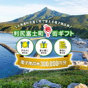 【ふるさと納税】利尻富士町e街ギフト 300,000円分