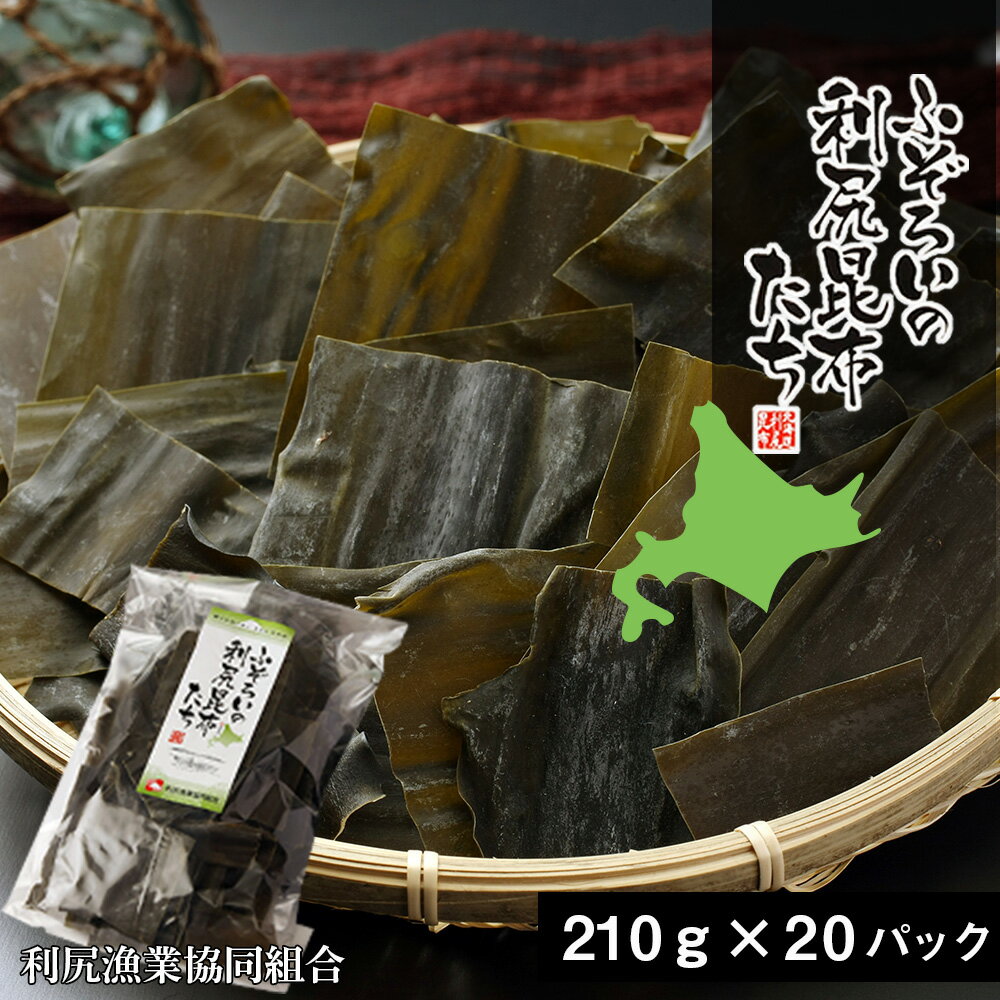 【ふるさと納税】《利尻漁業協同組合》ふぞろいの利尻昆布たち 20袋北海道ふるさと納税 利尻富士町 ふるさと納税 北海道 昆布 利尻昆布 高級昆布 お出汁 コンブ こんぶ 北海道産昆布 利尻こんぶ 贈答
