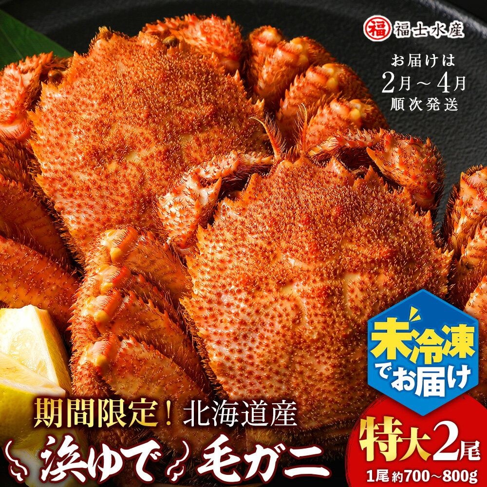 【ふるさと納税】【〆切間近！3/15まで】チルドでお届け！浜茹で毛ガニ特大2尾（1尾あたり約700g～800g） 福士水産北海道ふるさと納税 利尻富士町 北海道 海鮮 かにふるさと納税 北海道 カニ ふるさと納税 北海道 蟹 毛ガニ 毛蟹 蟹みそ 毛ガニ 冷蔵 ゆで毛ガニ 新物のサムネイル
