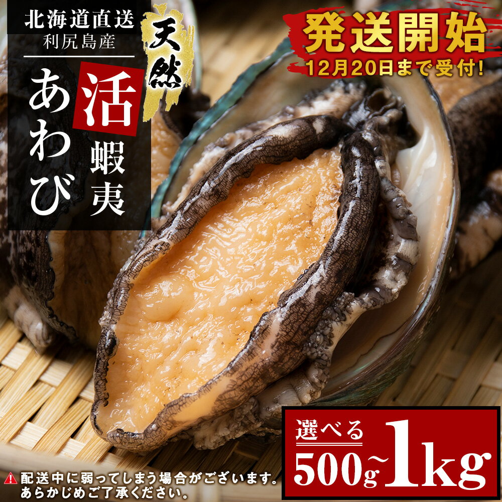 【アワビ刺身】ふるさと納税の人気返礼品！美味しいあわびは？