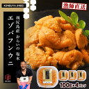 【ふるさと納税】2025年発送予約 利尻島産 塩水エゾバフンウニ 100g×4パック 昆布屋神兵衛北海道ふるさと納税 利尻富士町 ふるさと納税 北海道 海鮮 北...