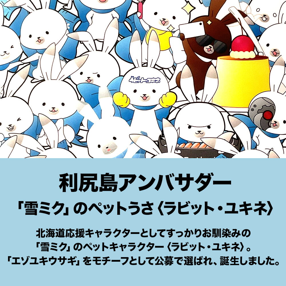 【ふるさと納税】【雪ミク スカイタウン限定】ラビット・ユキネ クリアファイル(大集合Ver.)北海道ふるさと納税 利尻富士町 ふるさと納税 北海道 雑貨 日用品 キャラグッズ 初音ミク f015199-rishirifuji-10000800 北海道利尻富士町 サンプル画像3