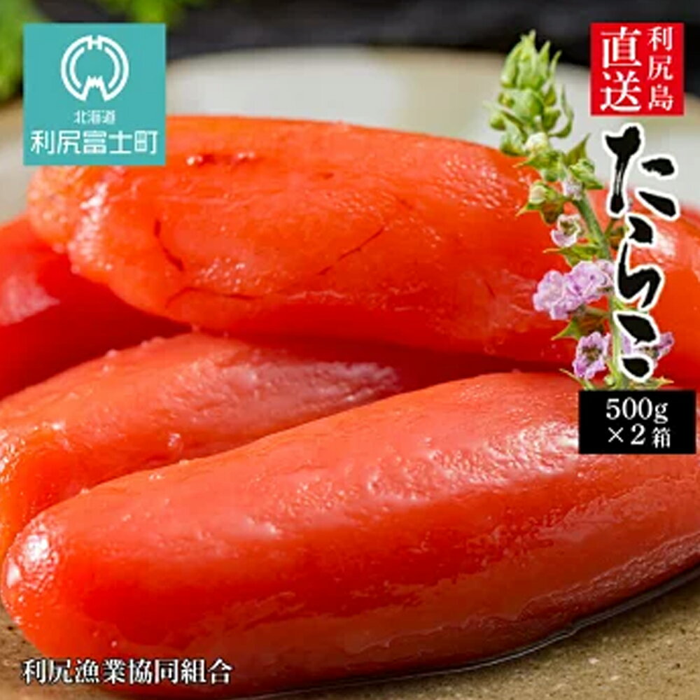 【ふるさと納税】 〈利尻漁業協同組合〉利尻島から たらこ500g 2箱セット北海道ふるさと納税 利尻富士町 ふるさと納税 北海道 海鮮 おせちのサムネイル