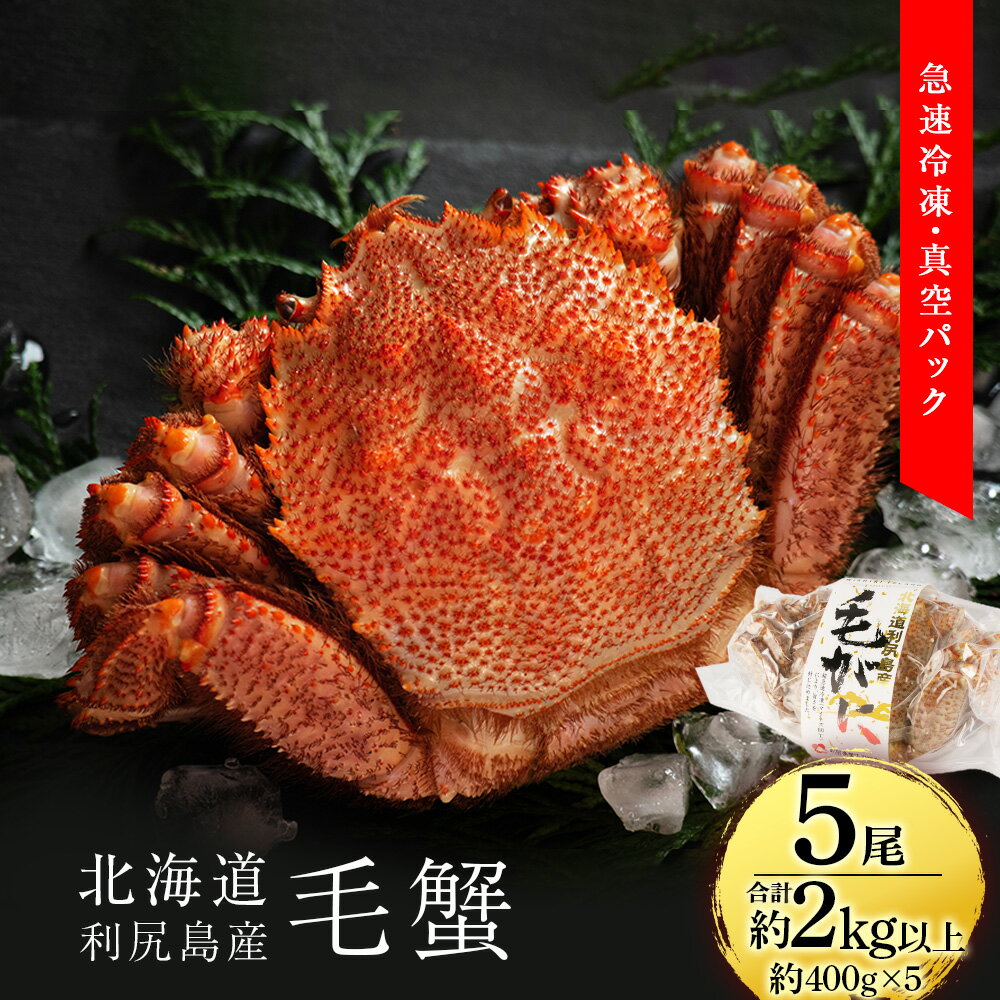 【ふるさと納税】毛ガニ 北海道 利尻直送！毛ガニ 小小サイズ 合計2kg（5尾入）＜利尻漁業協同組合＞北海道ふるさと納税 利尻富士町 ふるさと納税 北海道 海鮮 北海道 カニ ふるさと納税 北海道 蟹 毛ガニ 毛蟹 蟹みそ 毛ガニのサムネイル