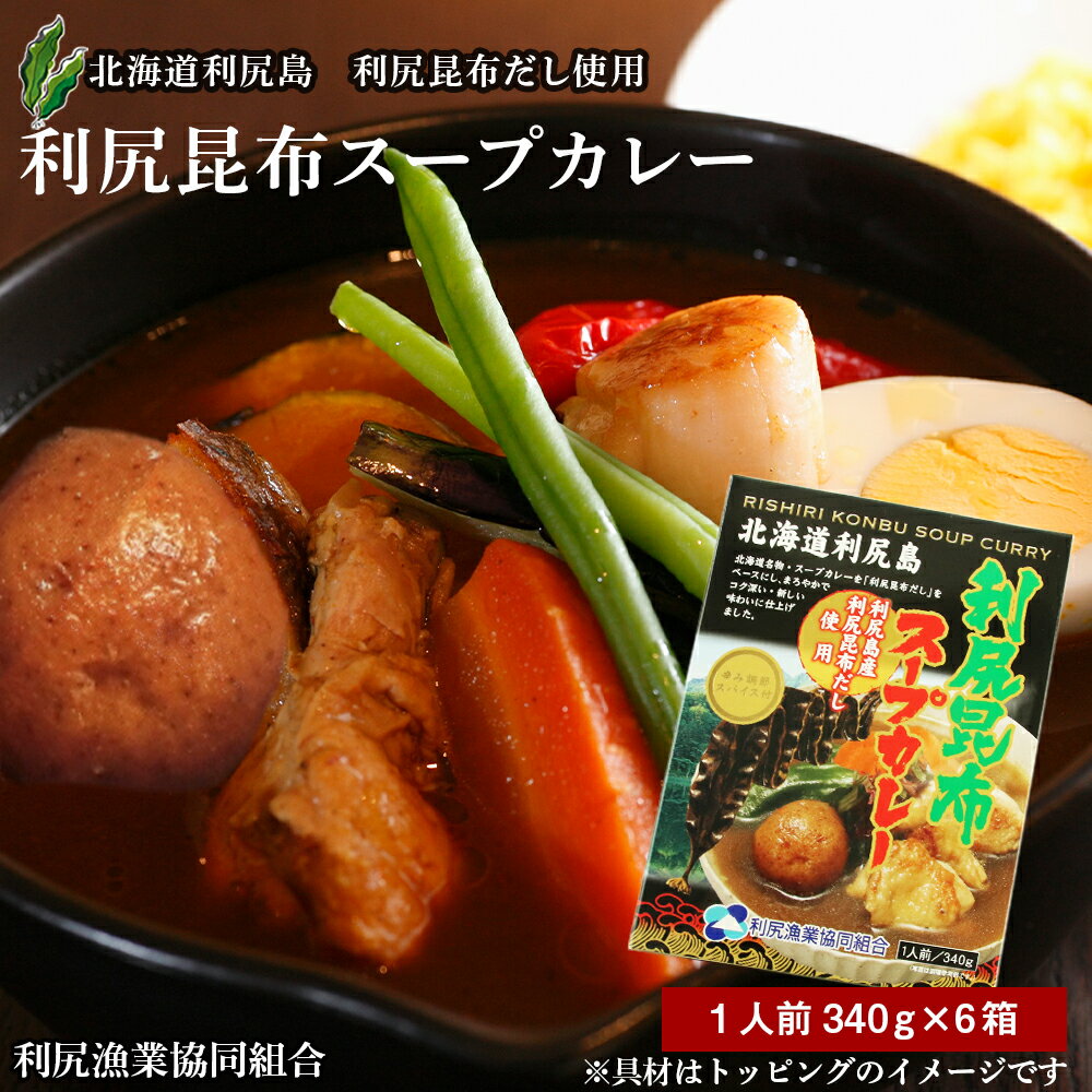 【ふるさと納税】 利尻昆布スープカレー6個セット《利尻漁業協同組合》北海道ふるさと納税 利尻富士町 ふるさと納税 北海道のサムネイル