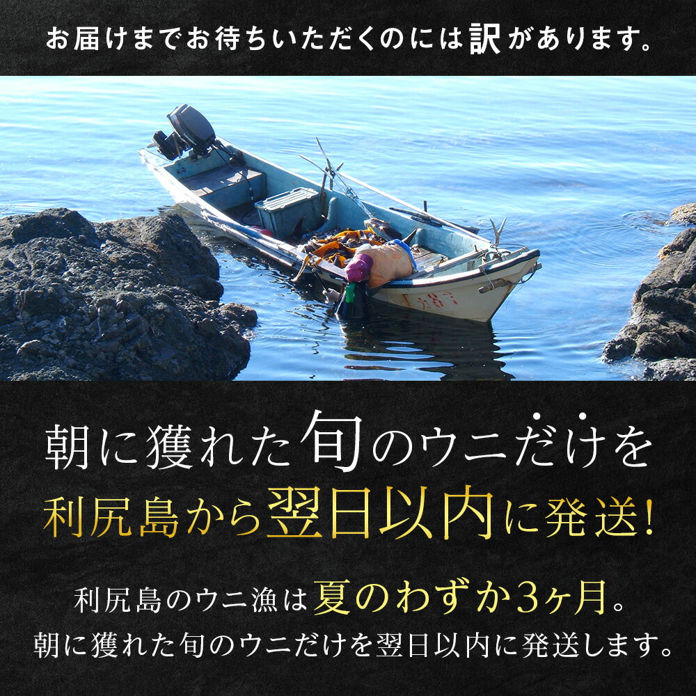 【ふるさと納税】 ★2024年発送予約★北海道 利尻島産 塩水生うに エゾバフンウニ 選べる1～5パック 7月・8月発送分【福士水産】北海道ふるさと納税 利尻富士町 ふるさと納税 北海道 海鮮 北海道 海鮮 うに 生うに 北海道 うに 雲丹 通販 ギフト ウニ 贈答品 贈り物