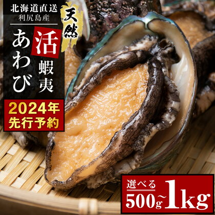 【2024年先行予約】あわび 北海道 利尻島産 直送！天然 活えぞあわび 選べる500g～1kg 鮑 海鮮 冷蔵 お刺身 魚介 お祝い【福士水産】北海道ふるさと納税 利尻富士町 ふるさと納税 北海道産アワビ 産地直送 活 美味しさに 訳あり