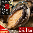 【ふるさと納税】 あわび 北海道 利尻島産 直送!天然 生えぞあわび 選べる500g~1kg 鮑 海鮮 冷蔵 お刺身 魚介 お祝い【福士水産】北海道ふるさと納税 利尻富士町 ふるさと納税 北海道産アワビ 産地直送 美味しさに 訳あり 蝦夷あわび