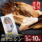 【ふるさと納税】 利尻島産 開きニシン 選べる5枚〜10枚 <利尻漁業協同組合>魚 開き にしん 鰊 パック 小分け 北海道ふるさと納税 利尻富士町 ふるさと納税 北海道