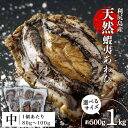  あわび 北海道 利尻島産 天然蝦夷あわび ＜中＞（80g〜100gサイズ） 選べる500g～1kg 冷凍あわび ＜利尻漁業協同組合＞北海道ふるさと納税 利尻富士町 ふるさと納税 鮑 天然 冷凍 産地直送 刺身 高級海鮮 海鮮 おせち