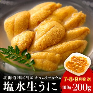 【ふるさと納税】【2025年発送予約】 ★直送 「利尻島産 塩水キタムラサキウニ」選べる100g〜200g 1パック100g《利尻漁業協同組合》北海道ふるさと納税 利尻富士町 ふるさと納税 北海道 海鮮 生うに 北海道 うに 雲丹 通販 ギフト ウニ 贈答品 贈り物 塩水生うに