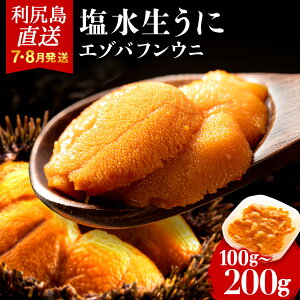 【ふるさと納税】 【2025年発送予約】 ★直送 「利尻島産 塩水エゾバフンウニ」選べる100g〜200g 1パック100g 《利尻漁業協同組合》北海道ふるさと納税 利尻富士町 北海道 海鮮 北海道 海鮮 うに 生うに 北海道 うに 雲丹 通販 ギフト ウニ 贈答品 贈り物 塩水生うに