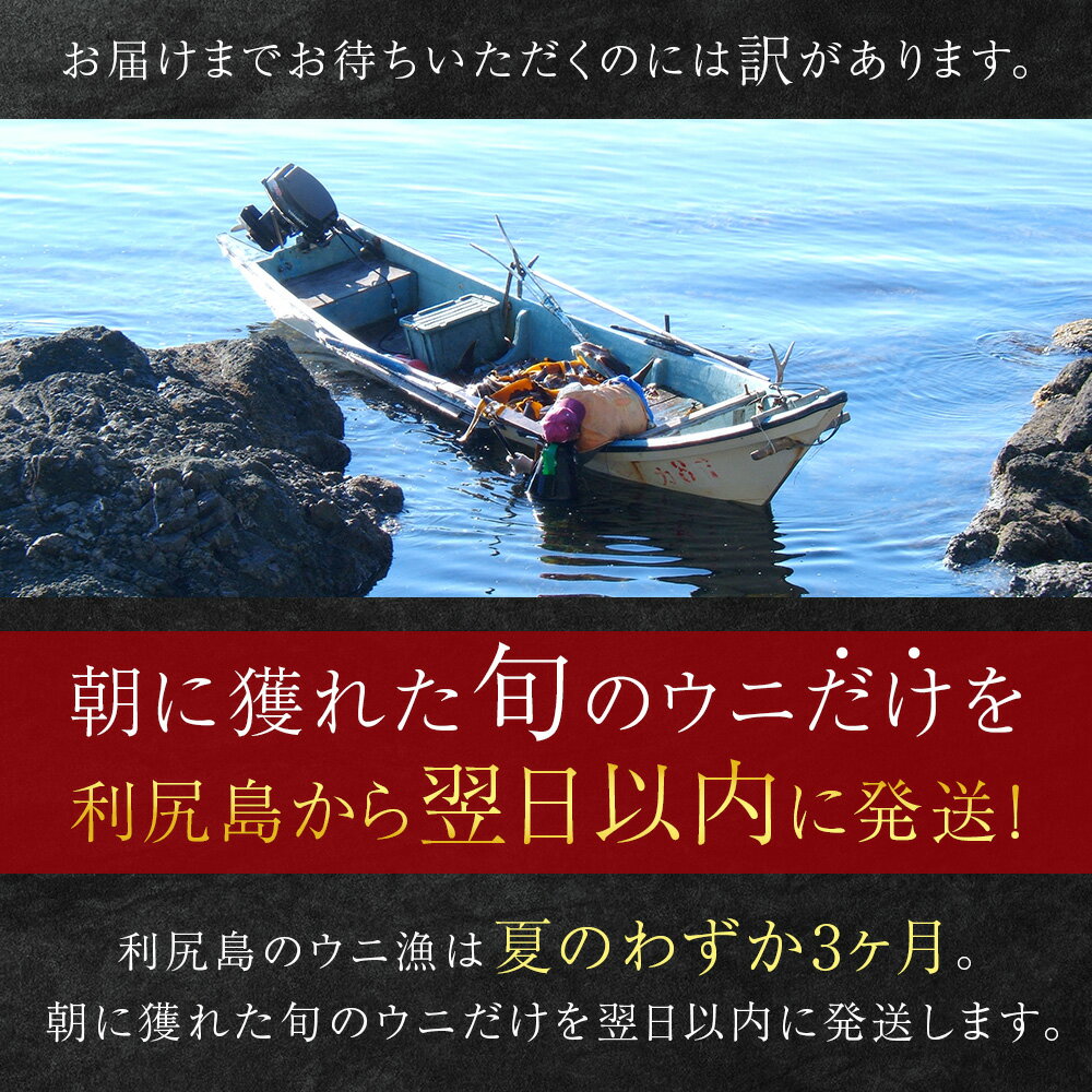 【ふるさと納税】 【2024年7月・8月発送】北海道 利尻島産 エゾバフンウニ 選べる1パック～2パック 1パック 100g北海道ふるさと納税 利尻富士町 ふるさと納税 北海道 海鮮 北海道 海鮮 うに 生うに 北海道 うに 雲丹 通販 ギフト ウニ 贈答品 贈り物