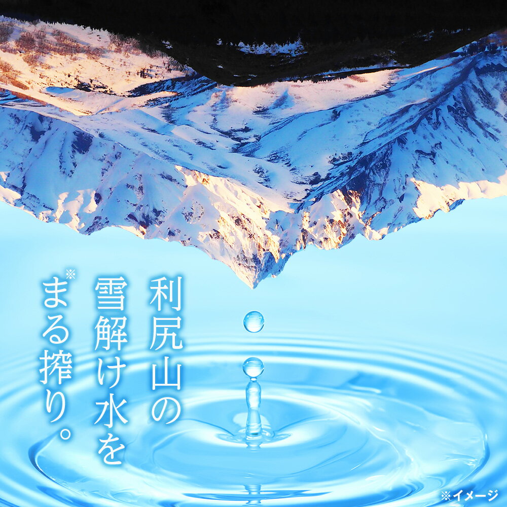 【ふるさと納税】 【定期便】天然ケイ素水リシリア 選べる定期便 水 500mlペットボトル 2Lペットボトル北海道ふるさと納税 利尻富士町 ふるさと納税 北海道