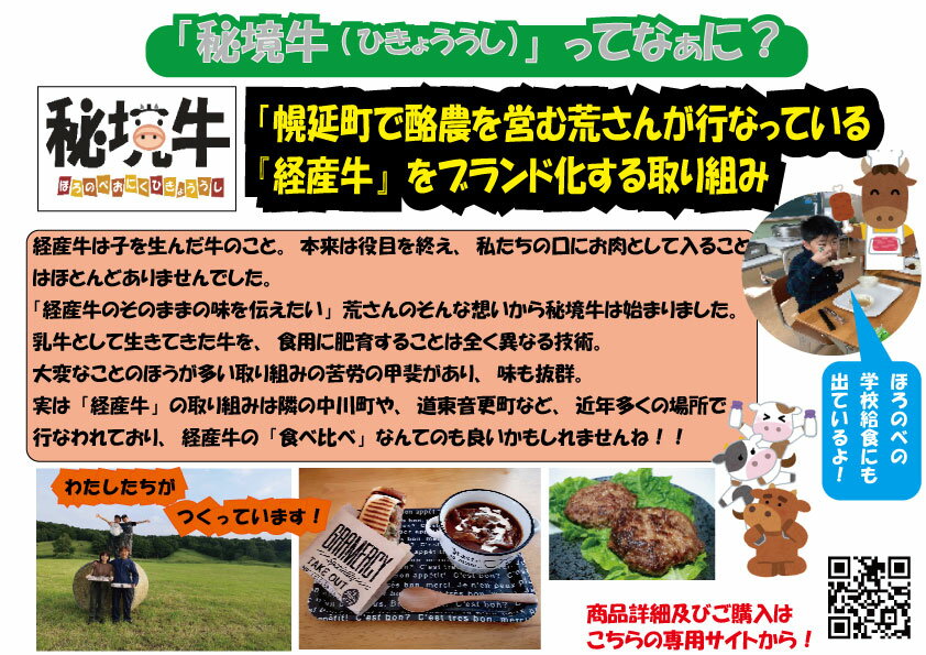 【ふるさと納税】幌延町産 秘境牛ハンバーグ3種食べ比べセット（レギュラー・デミグラス・和風おろし　各2個）