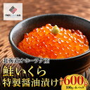 【ふるさと納税】北海道オホーツク産　鮭いくら特製醤油漬け　合計600g(100g×6パック)【配送不可地域：離島】 鮭 さけ サケ しゃけ シャケ いくら イクラ 醤油漬け 北海道 美幌町 送料無料 BHRI015