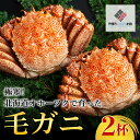 【ふるさと納税】<限定>極寒!北海道オホーツクで育った ”毛ガニ” 2杯 かに カニ 蟹 毛ガニ 北海道 美幌町 送料無料 BHRI032