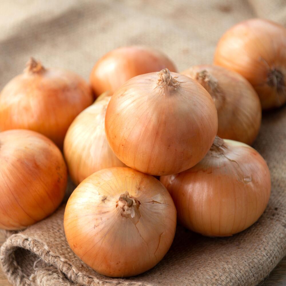 [数量限定訳あり品]玉ねぎSサイズ・10kg(2025年12月上旬から順次発送) [ ふるさと納税 人気 おすすめ ランキング 玉ねぎ たまねぎ タマネギ 訳あり 野菜 わけあり 北海道 美幌町 送料無料 ]