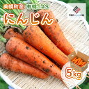 【ふるさと納税】美幌町産・有機JAS にんじん 5kg【配送不可地域:離島】(2025年8月より順次発送)【 ふるさと納税 人気 おすすめ ランキング ニンジン にんじん 人参 野菜 有機 有機JAS 新鮮 キャロット 北海道 美幌町 送料無料 】 BHRG012