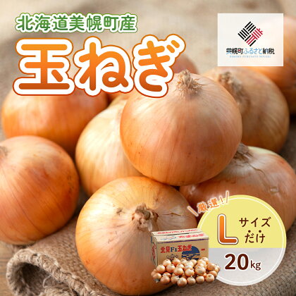 玉ねぎLサイズ・20kg 玉ねぎ たまねぎ 野菜 カレー 日持ち 北海道 美幌町 送料無料 BHRG030